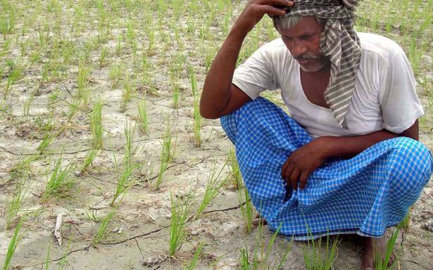 Picture Credit : The Hindu. (For representation only)