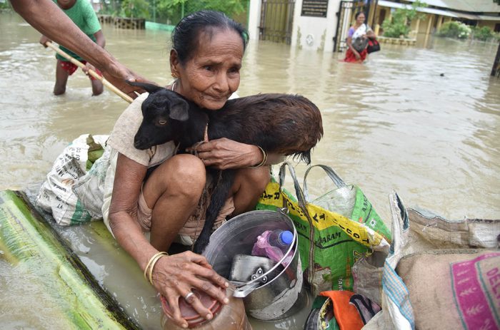 Woman holds a goat while sitting on a raft at the flood affected in Jakhalabandha area on August 13, 2017. Photo by Biju Boro