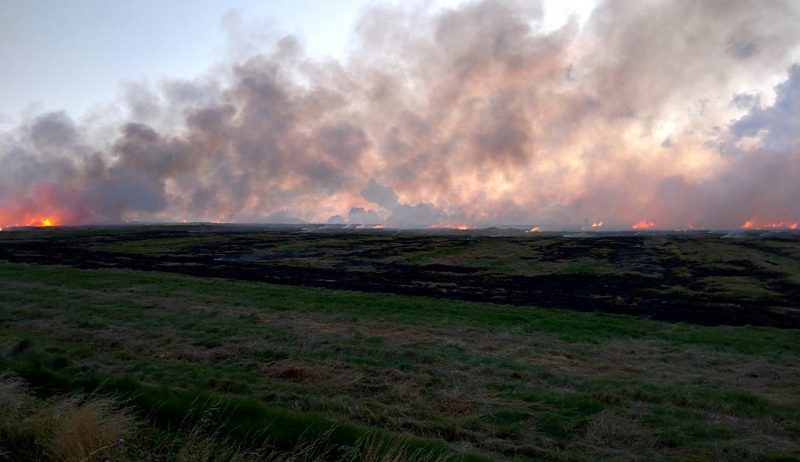 The burning of crop residue in Punjab and Haryana is creating serious air pollution hazard over northern India [image by: Richardt Radek Larsen]