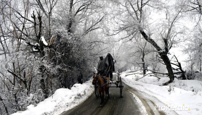File Picture Courtesy : Indian Express