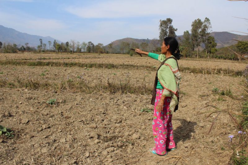 Hmouki, a farmer in Manipur, is worried about feeding her family during the dry season [image by: by Ninglun Hanghal]