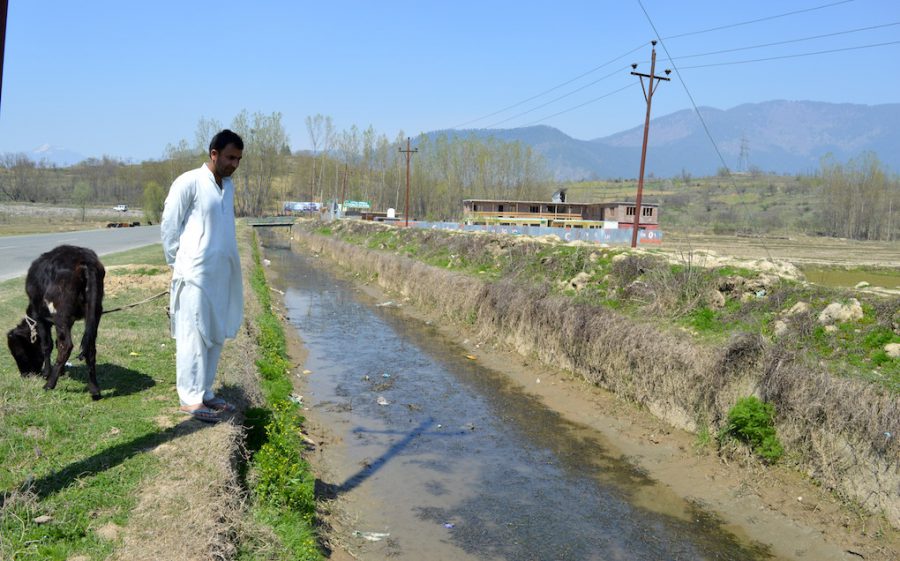 Mohammad Amin Lone, a farmer in Nutnoosa-Kupwara area of Kashmir, is worried that the Lal Kul stream holds just a trickle, which would be insufficient to irrigate rice fields [image by: Athar Parvaiz]
