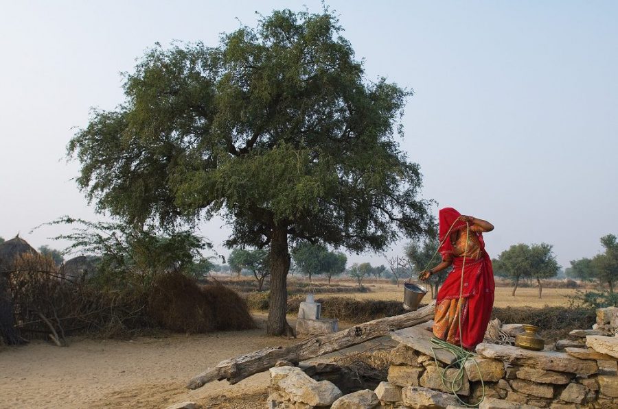 Rajasthan during a drought. The government hopes a crisis narrative around water will deflect criticism away from poor water management [image by Knut-Erik Helle]
