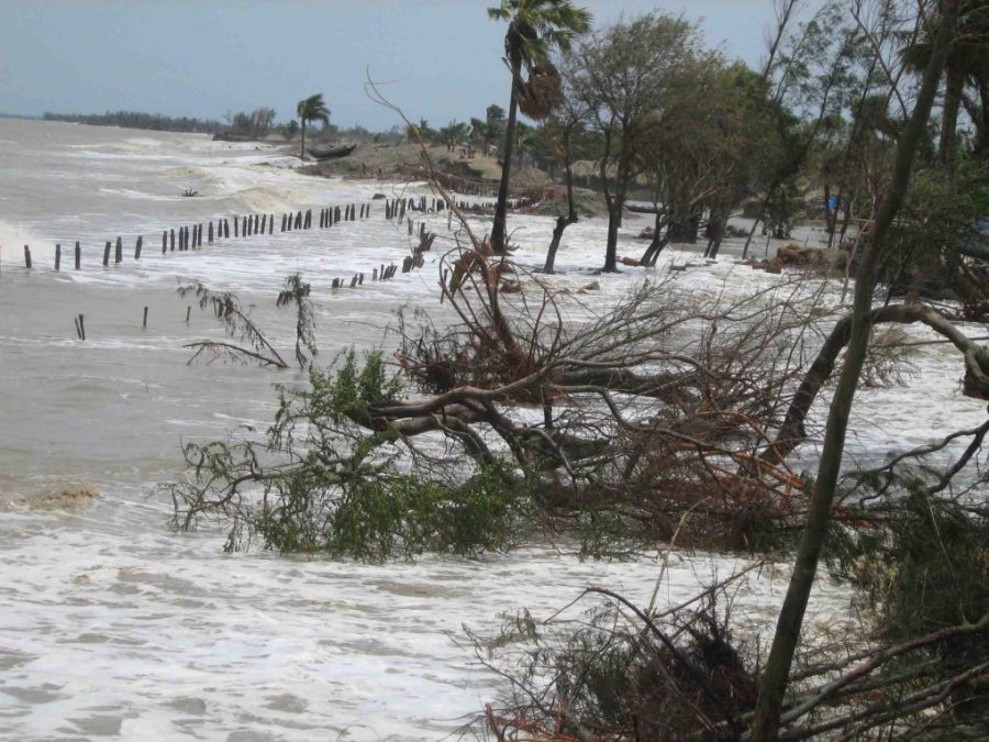 Inflow of tidal waters, Mousuni island, Sundarbans