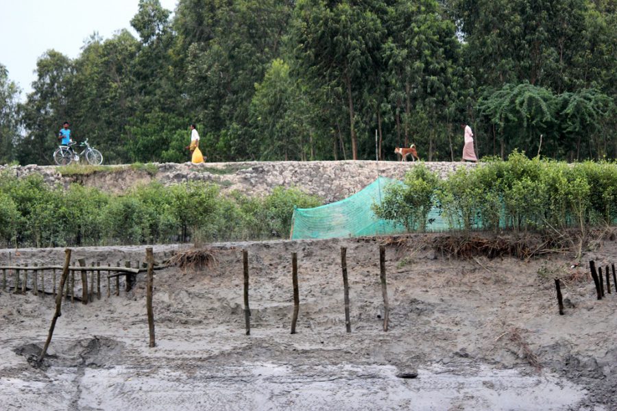 As tidal river Durgaduani tears into their earthen embankments with every high tide, islanders living deep inside the Indian Sundarbans desperately try to save farms and homes [image by: Manipadma Jena]
