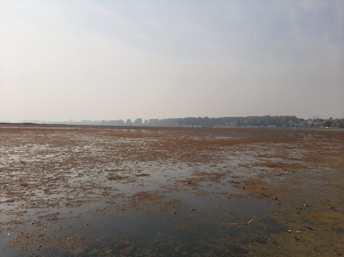 A small patch of the lake was cleaned for the visit of the European MEP delegation [image by: Faisal Bhat]