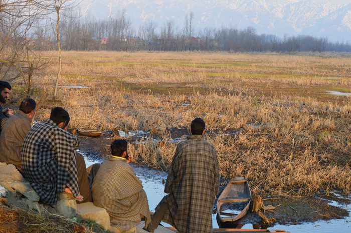 The Hokersar wetland in Kashmir [Image by: Athar Parvaiz]