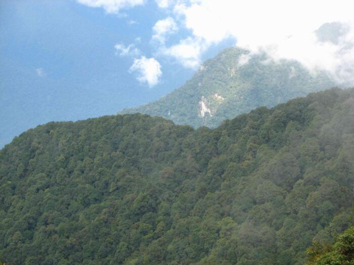 Dibang Valley forests : The Dibang and Lohit valleys contain some of the last large contiguous tracts of tropical, subtropical and temperate forests in the country, rich in wildlife. These will be seriously fragmented by multiple proposed large hydropower projects.